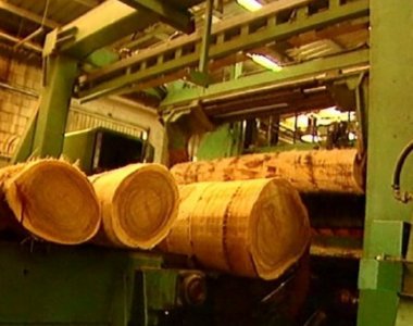 MADERA 320 53  LEADOR BOSQUE